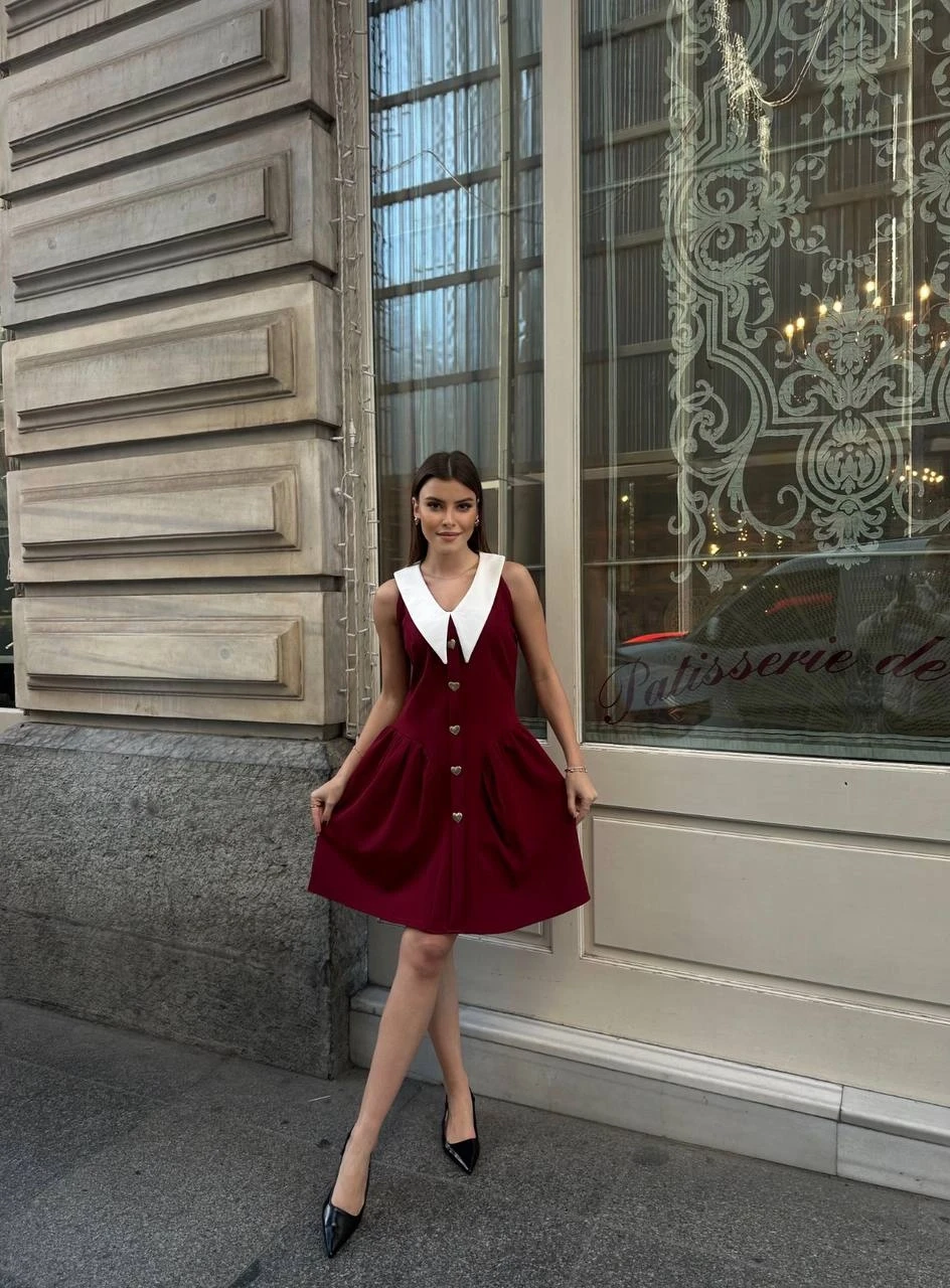 Yaka Detaylı Elbise